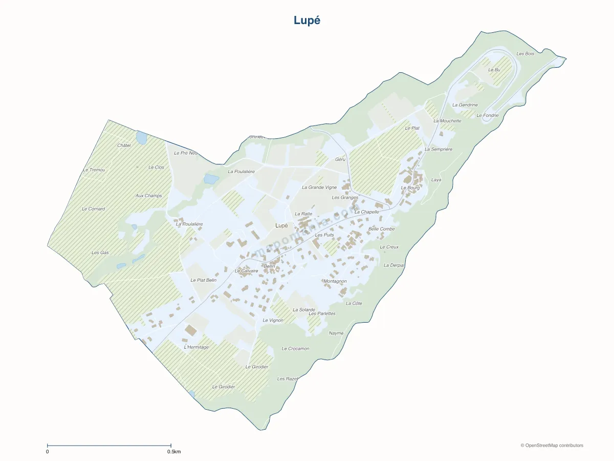 Carte de Lupé à personnaliser