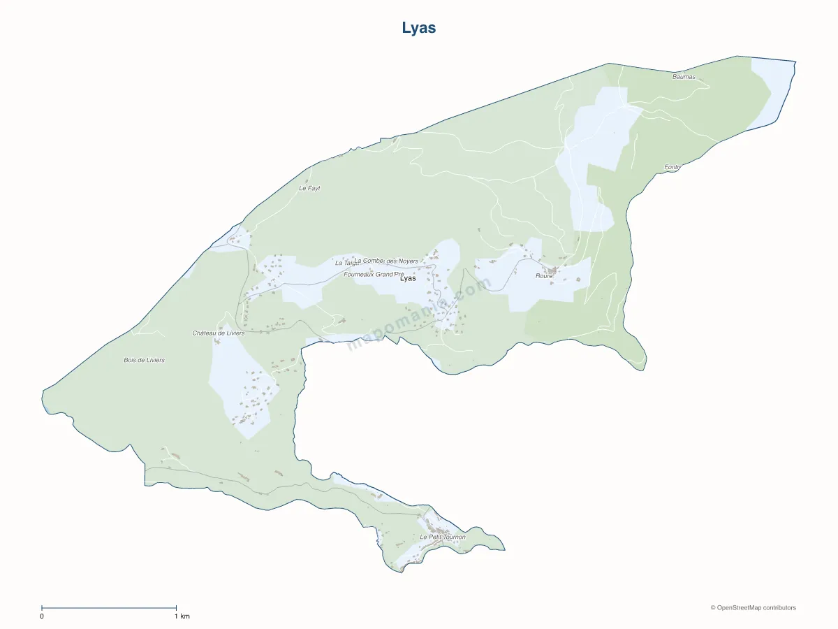 Carte de Lyas à personnaliser