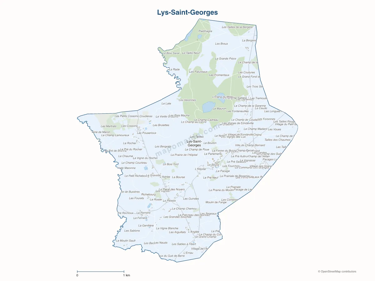 Carte de Lys-Saint-Georges à personnaliser