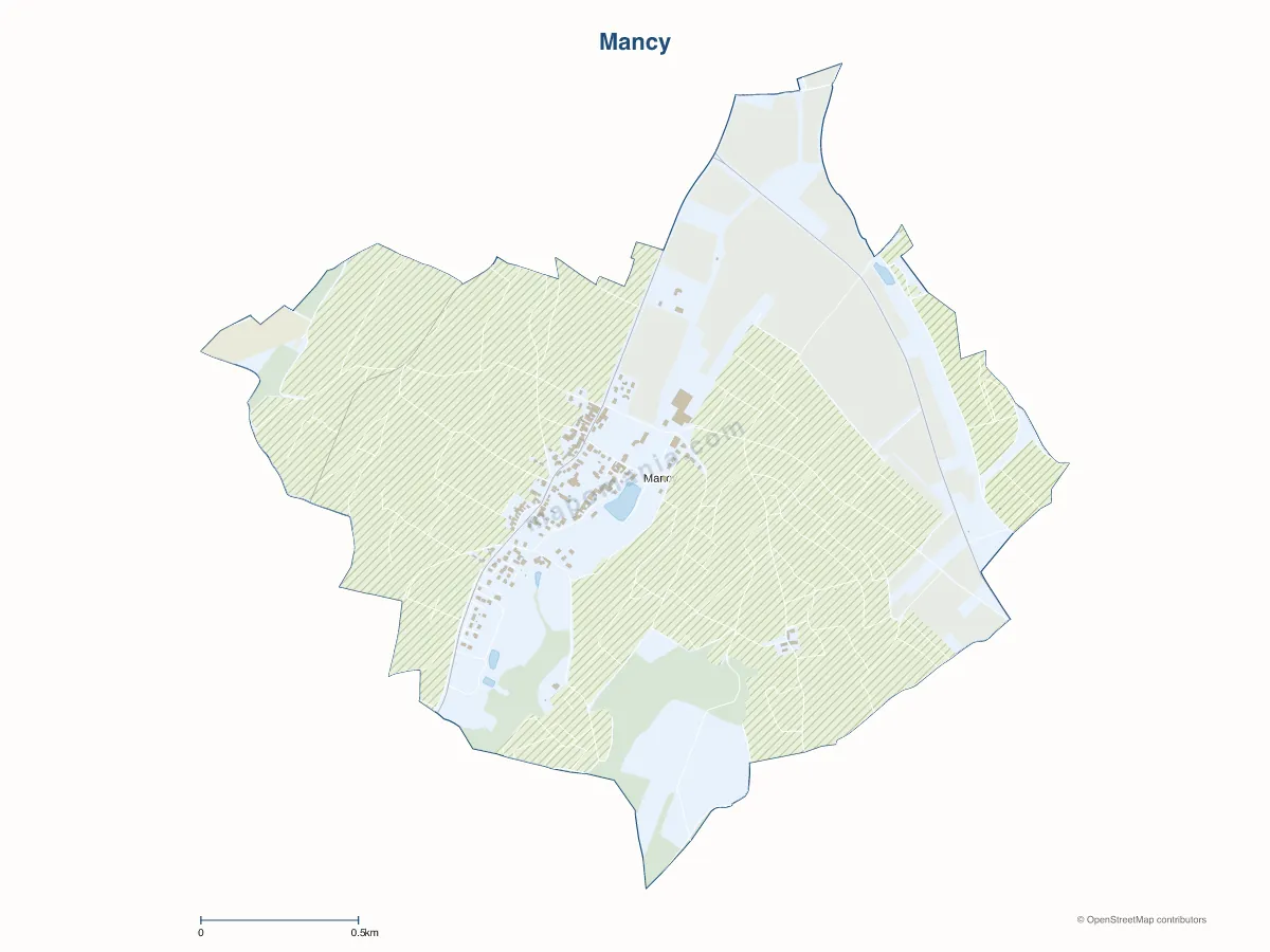 Carte de Mancy à personnaliser