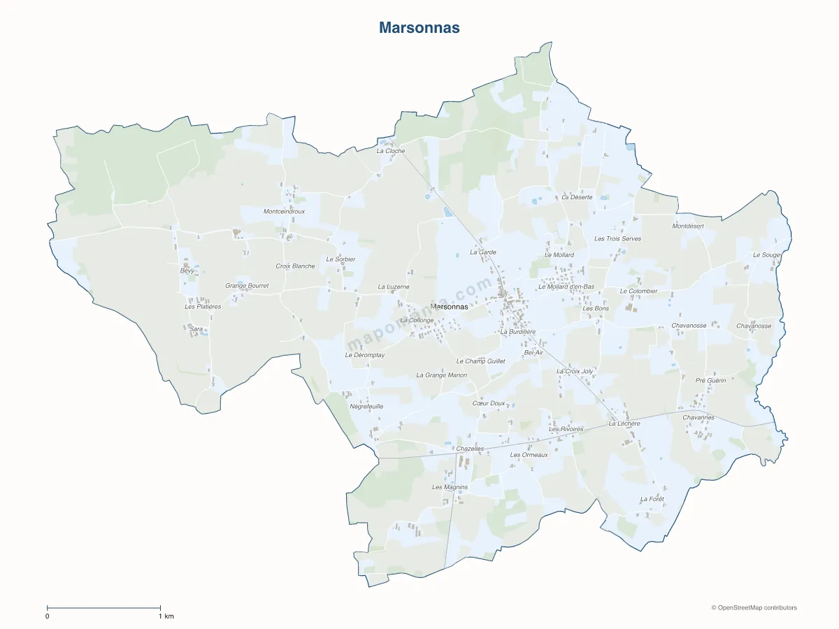 Carte de Marsonnas à personnaliser