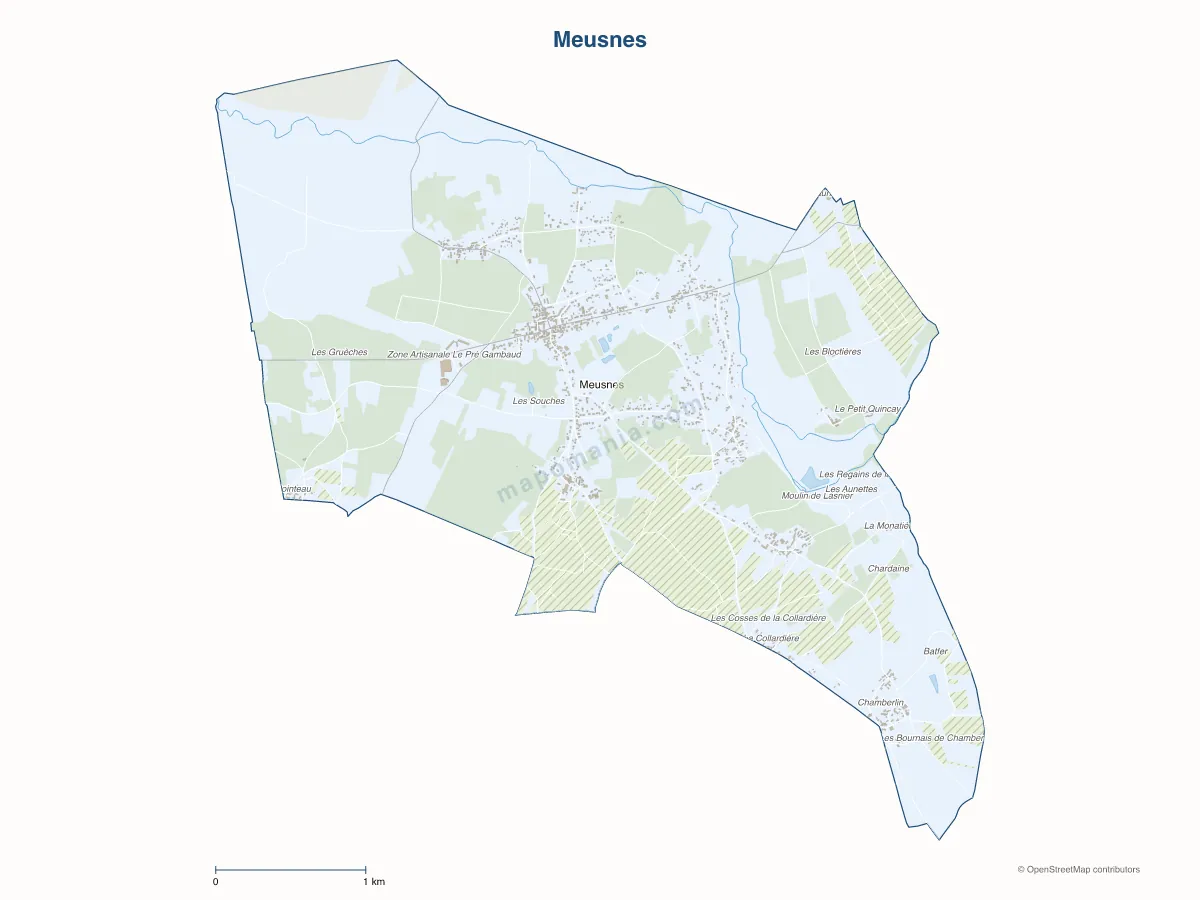 Carte de Meusnes à personnaliser