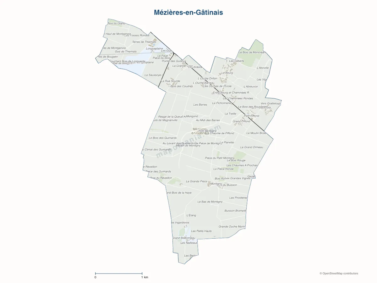Carte de Mézières-en-Gâtinais à personnaliser