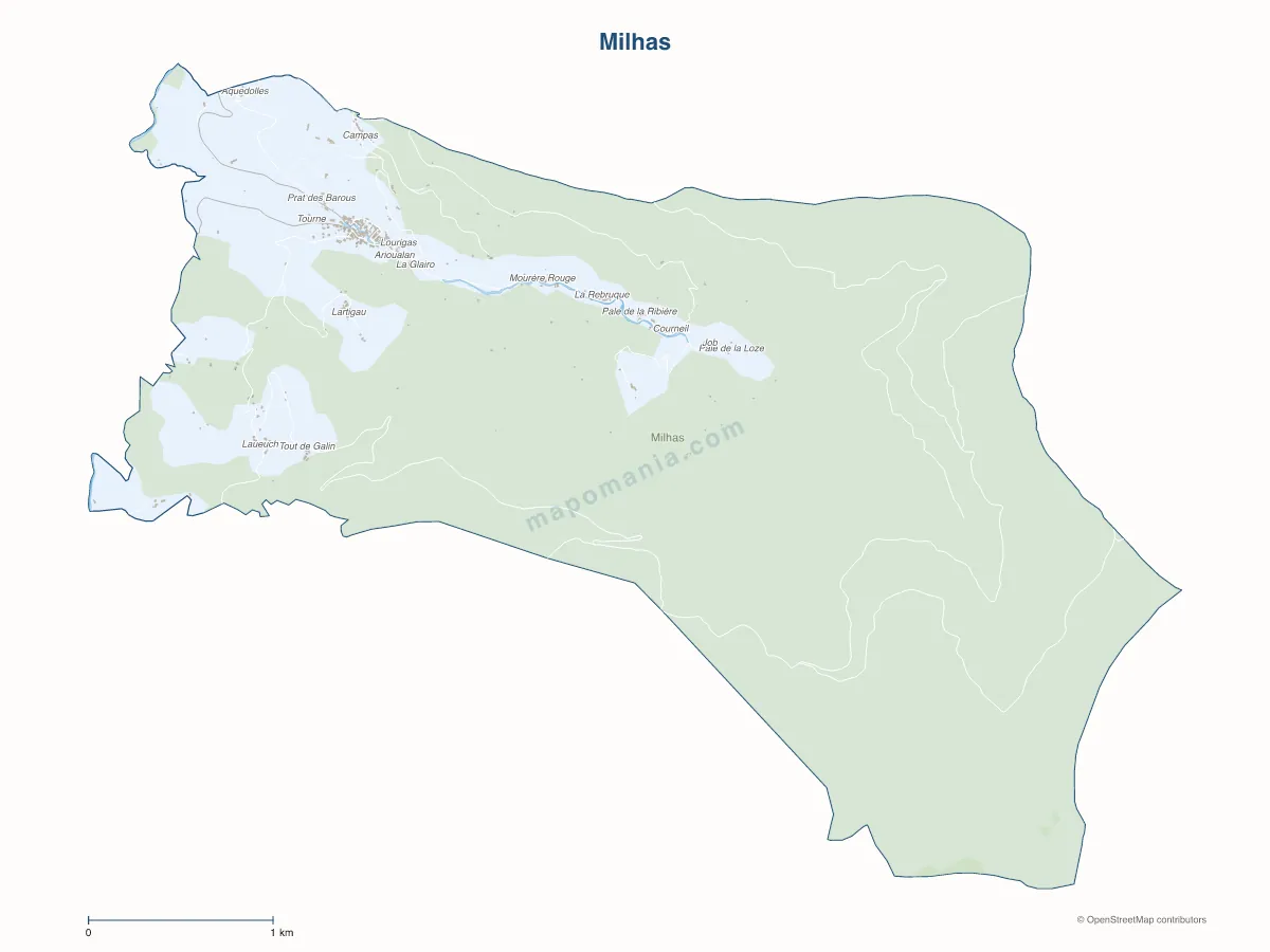 Carte de Milhas à personnaliser
