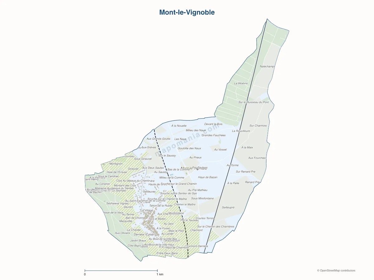 Carte de Mont-le-Vignoble à personnaliser