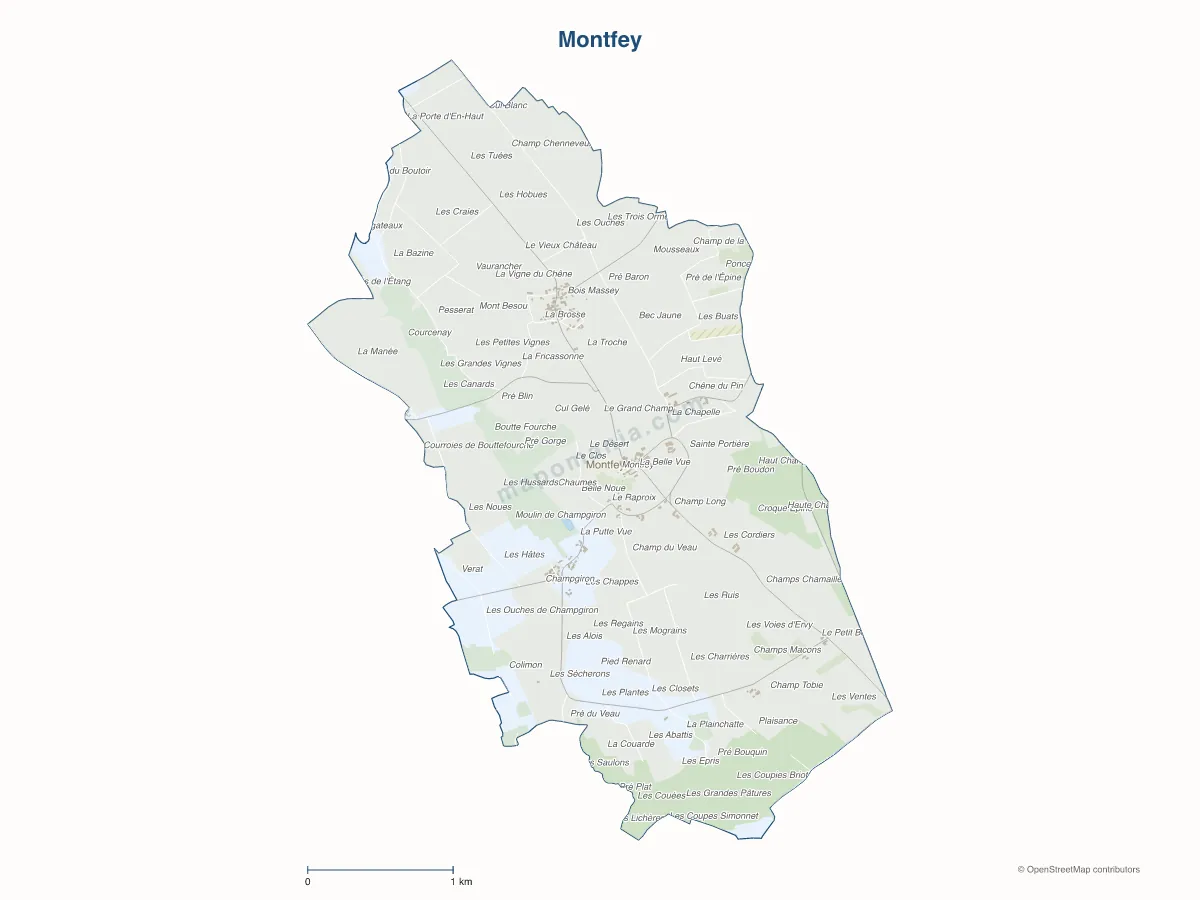 Carte de Montfey à personnaliser