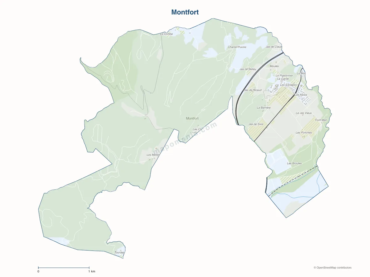 Carte de Montfort à personnaliser