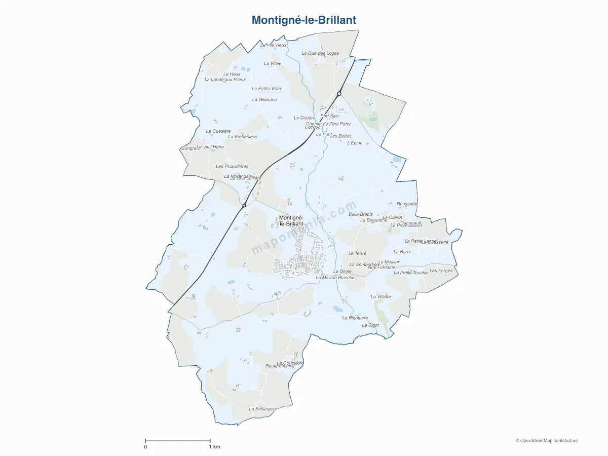Carte de Montigné-le-Brillant à personnaliser