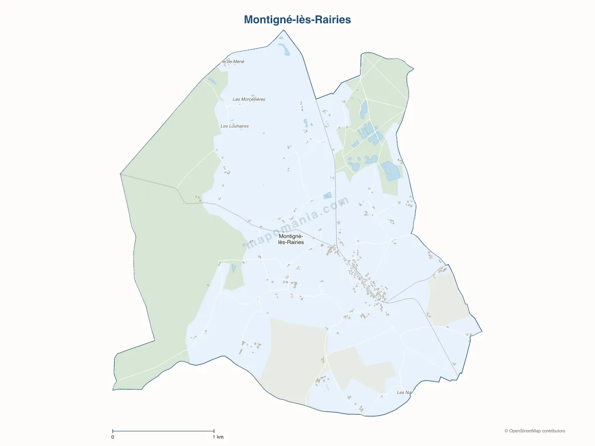 Carte de Montigné-lès-Rairies à personnaliser