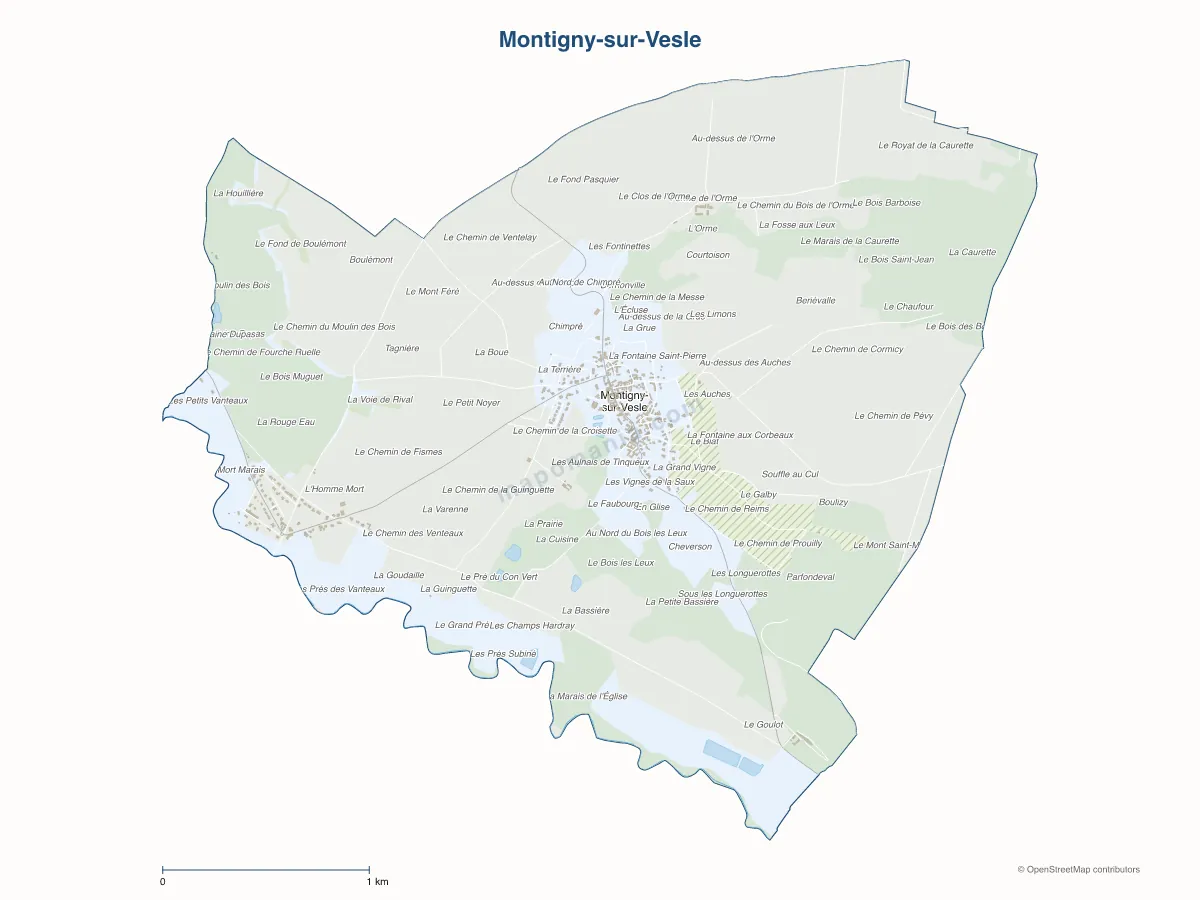 Carte de Montigny-sur-Vesle à personnaliser