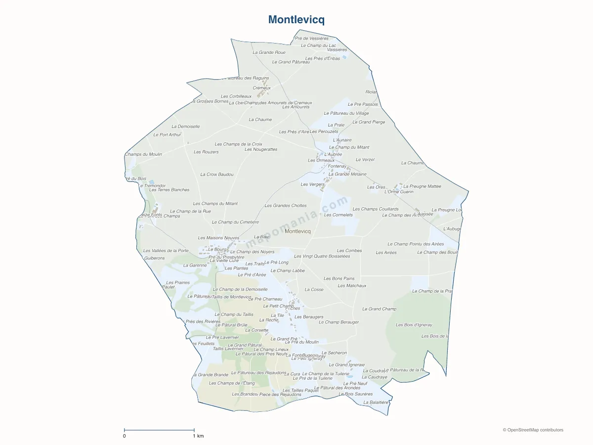 Carte de Montlevicq à personnaliser