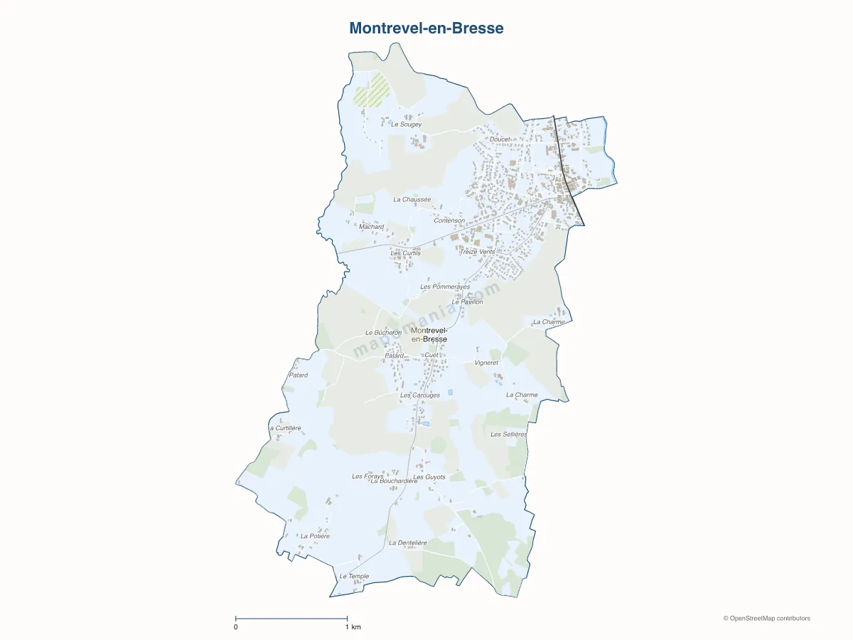 Carte de Montrevel-en-Bresse à personnaliser