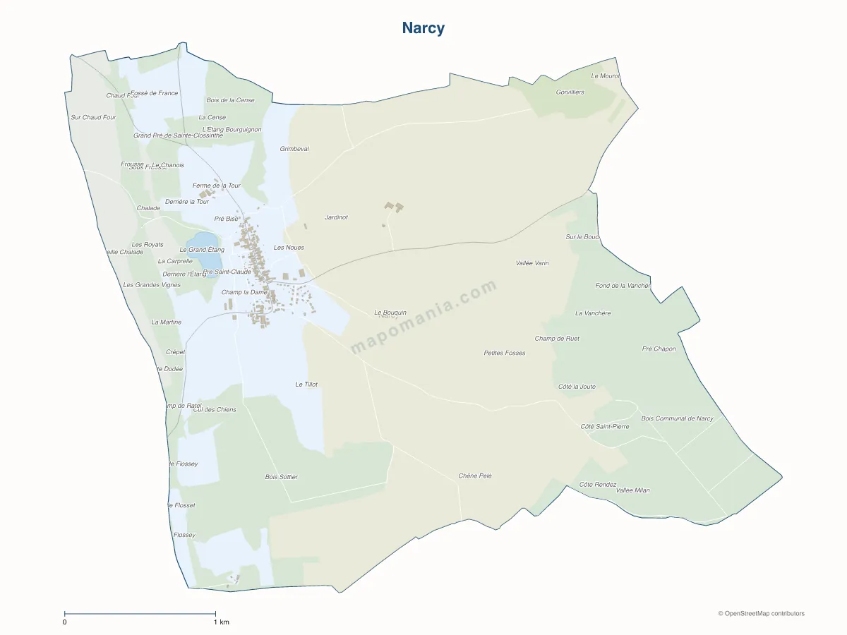 Carte de Narcy à personnaliser