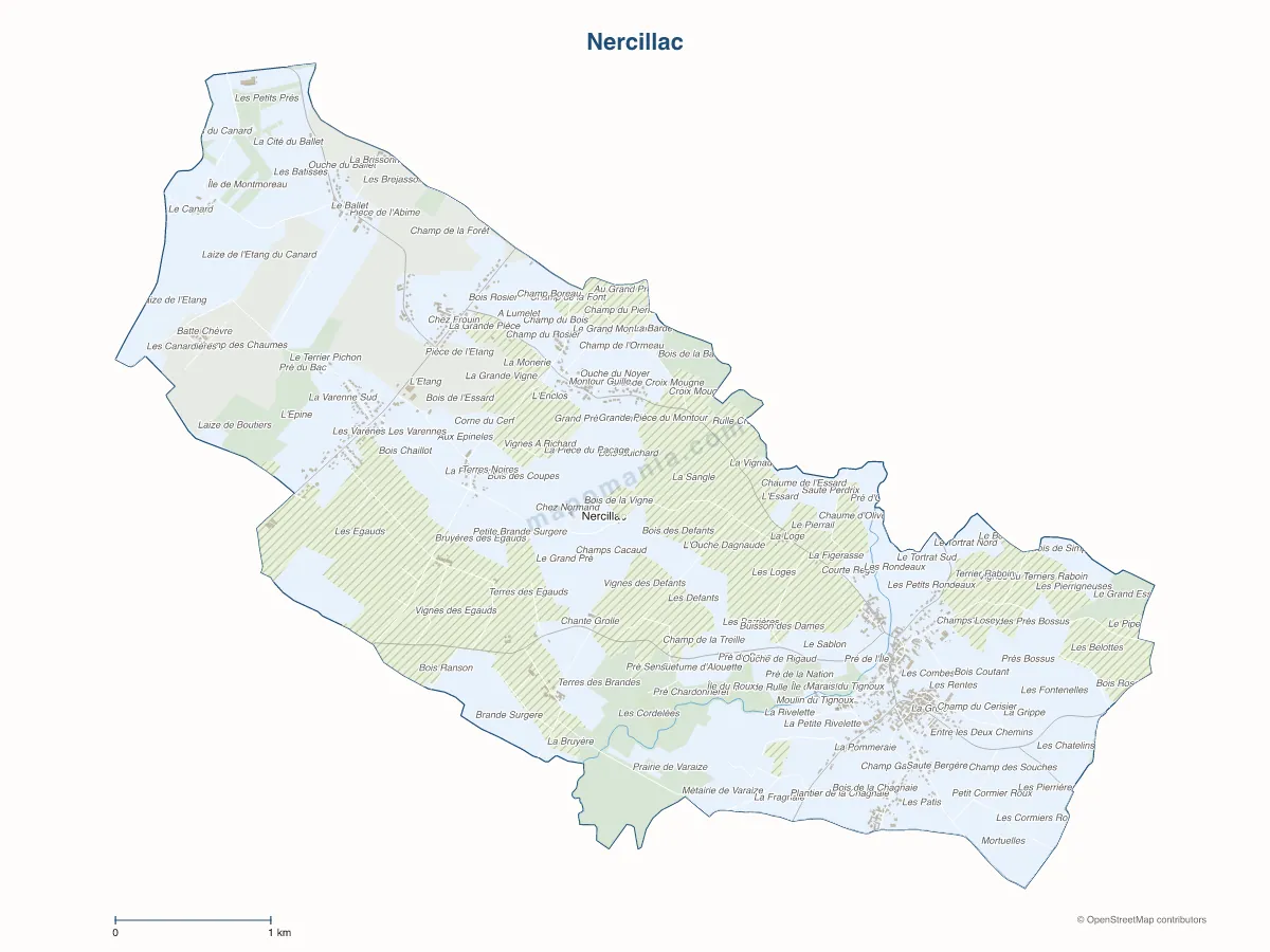 Carte de Nercillac à personnaliser