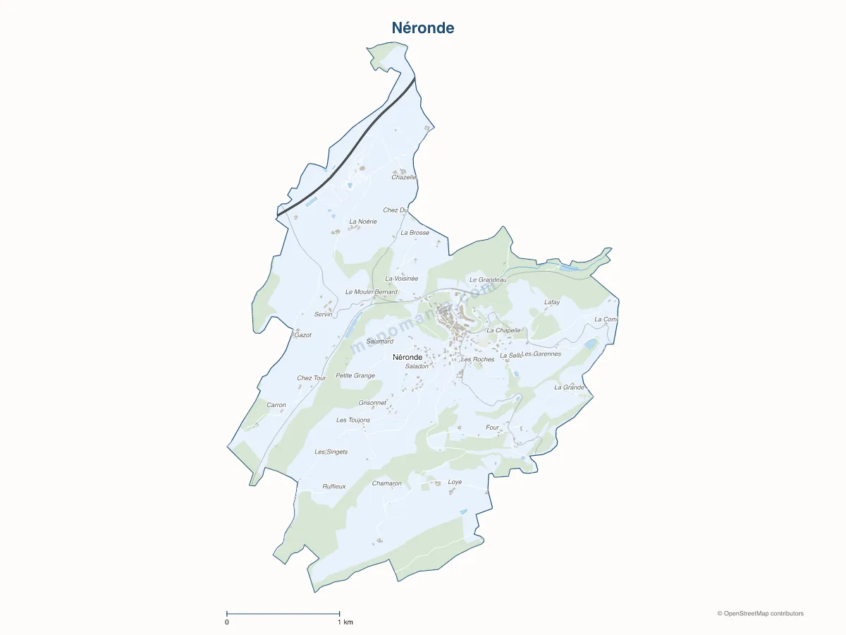 Carte de Néronde à personnaliser
