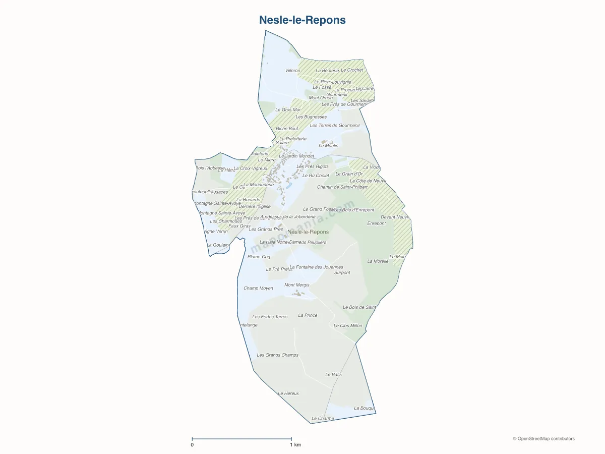 Carte de Nesle-le-Repons à personnaliser