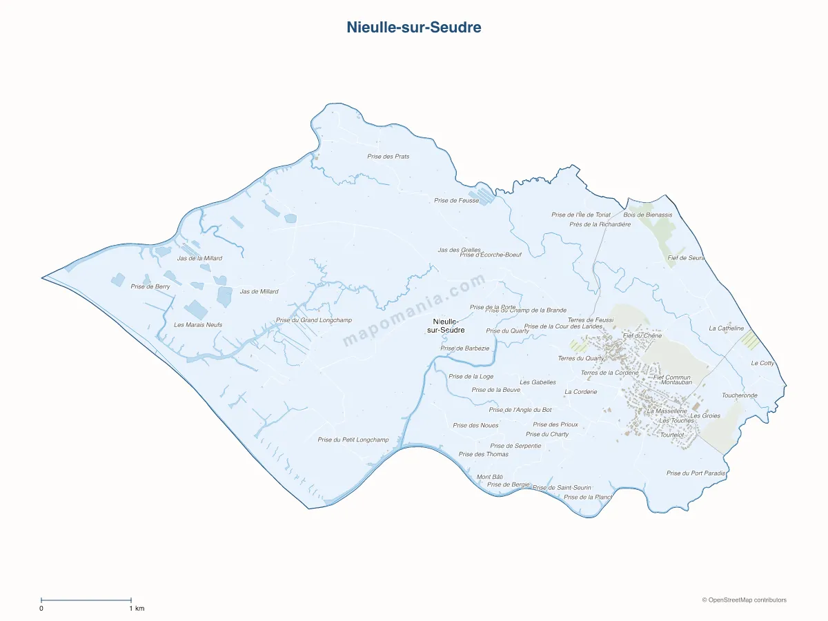 Carte de Nieulle-sur-Seudre à personnaliser