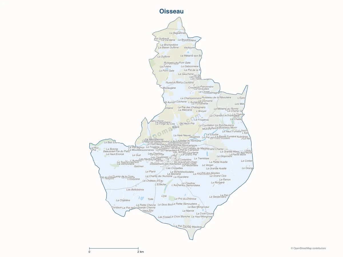 Carte de Oisseau à personnaliser