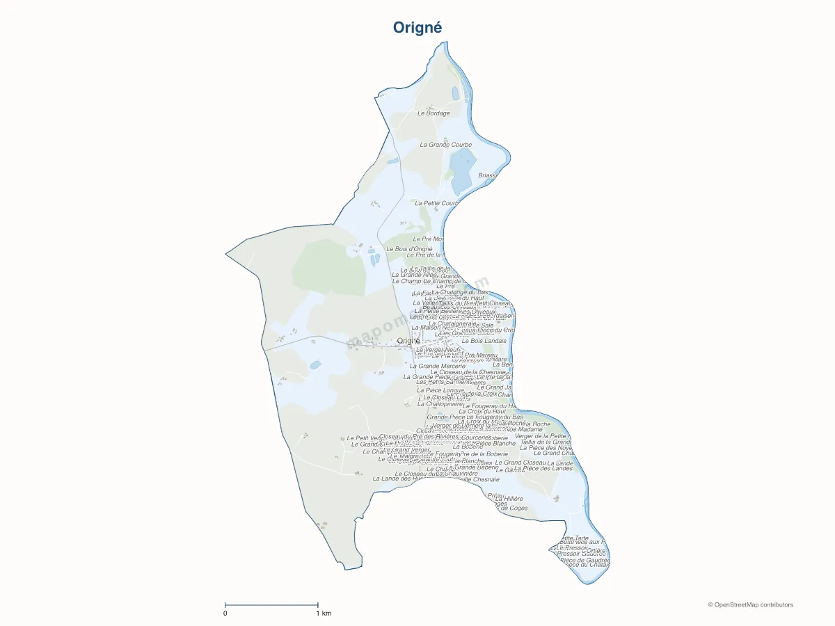 Carte de Origné à personnaliser
