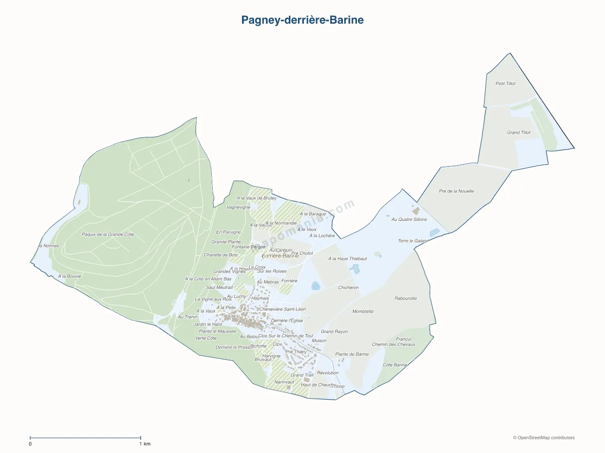 Carte de Pagney-derrière-Barine à personnaliser