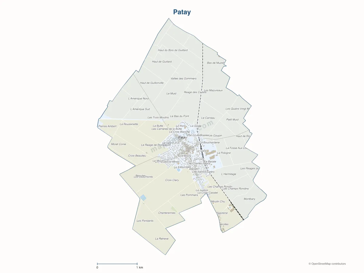Carte de Patay à personnaliser