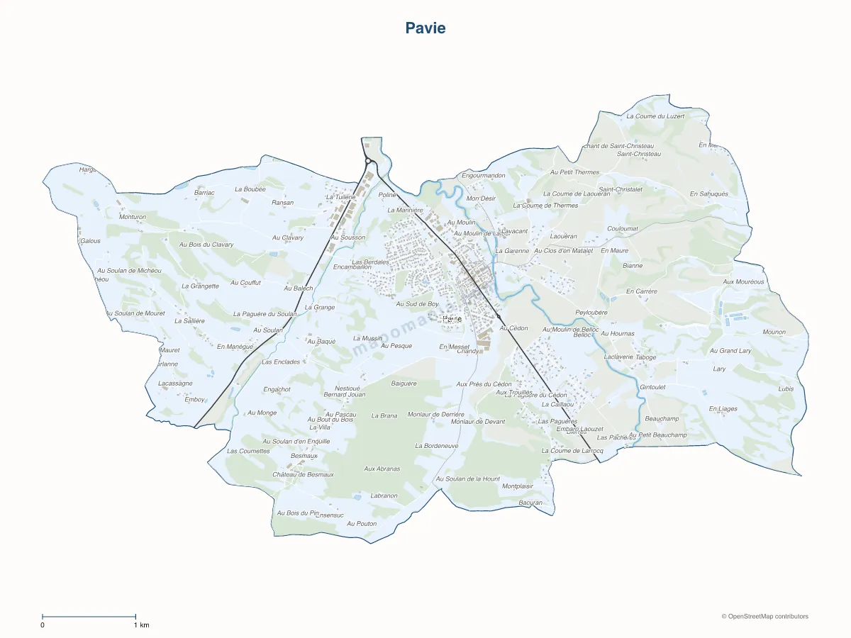 Carte de Pavie à personnaliser