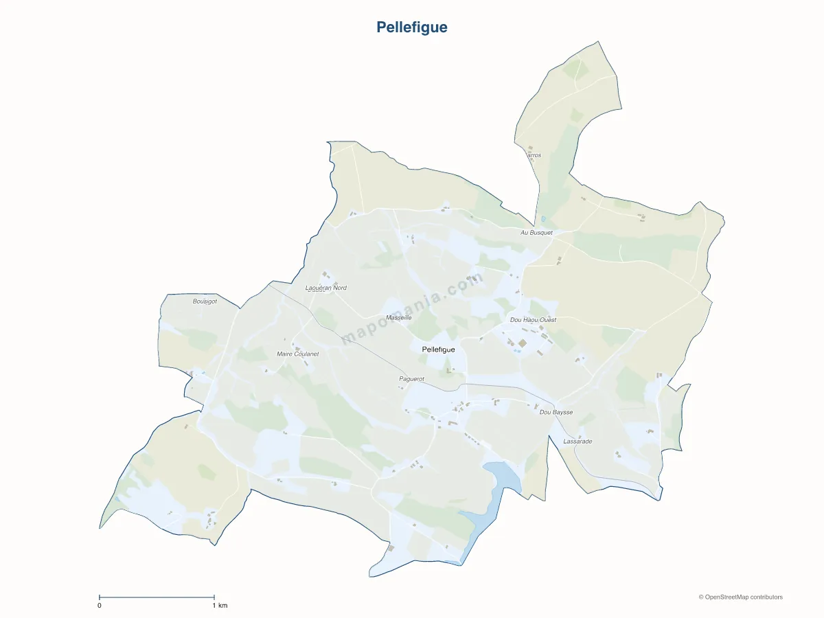 Carte de Pellefigue à personnaliser