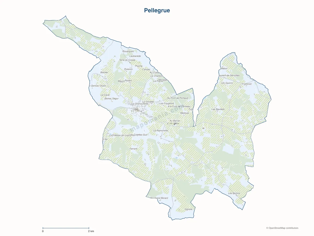 Carte de Pellegrue à personnaliser