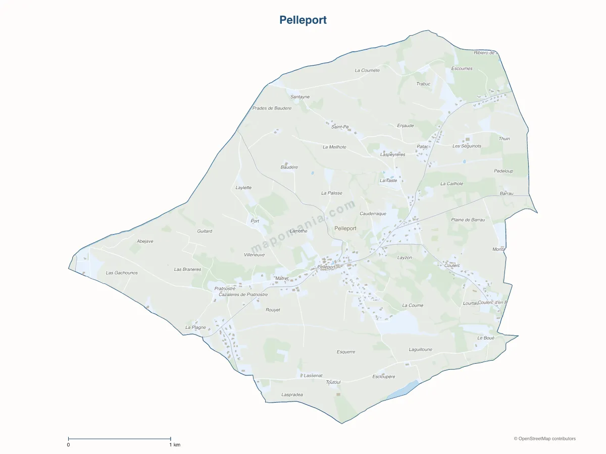 Carte de Pelleport à personnaliser