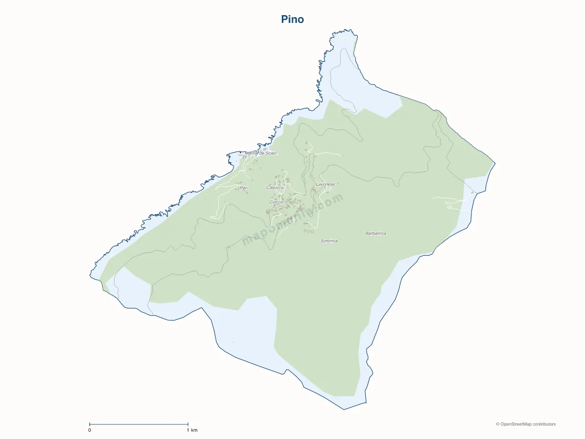 Carte de Pino à personnaliser