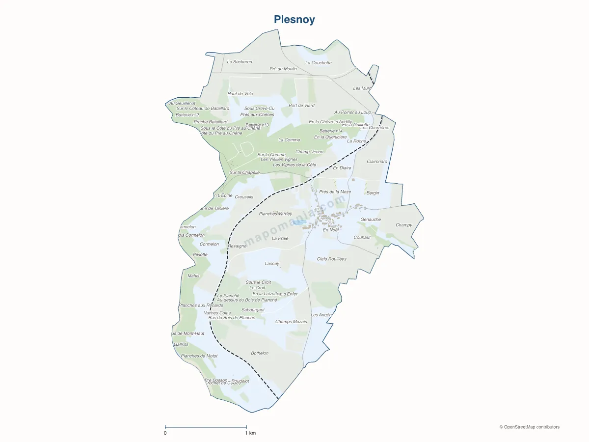 Carte de Plesnoy à personnaliser