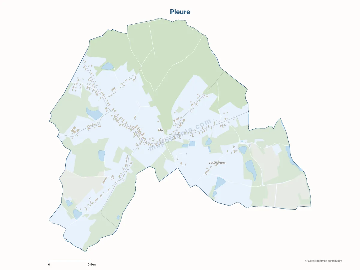Carte de Pleure à personnaliser