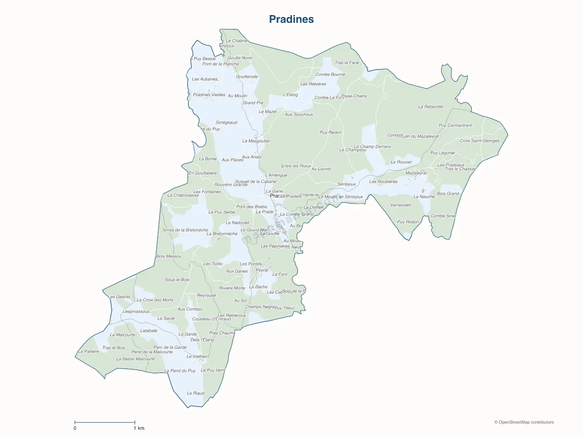 Carte de Pradines à personnaliser