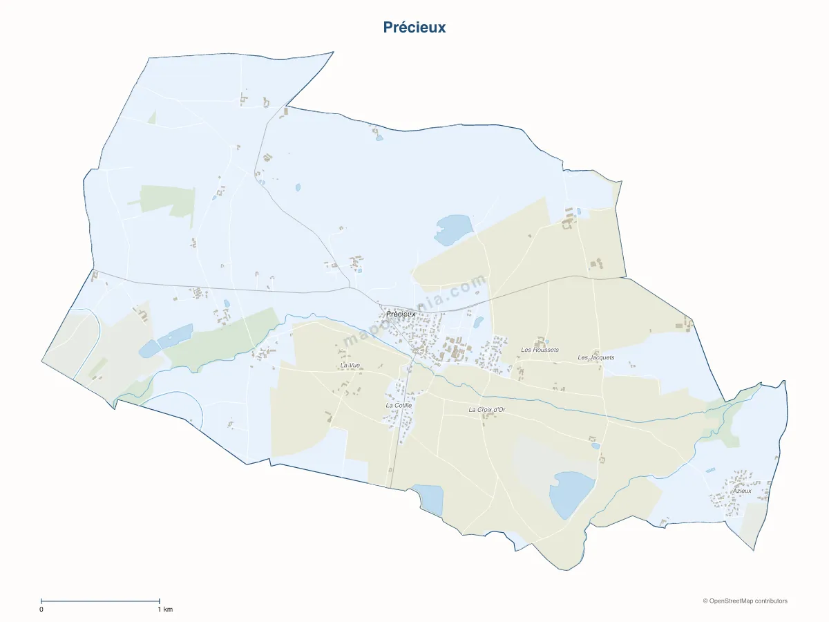 Carte de Précieux à personnaliser