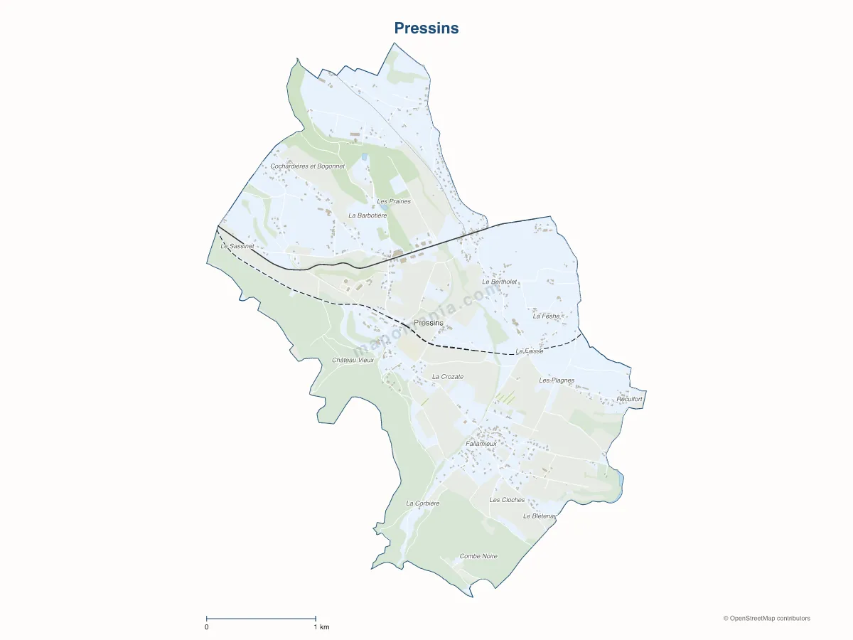 Carte de Pressins à personnaliser