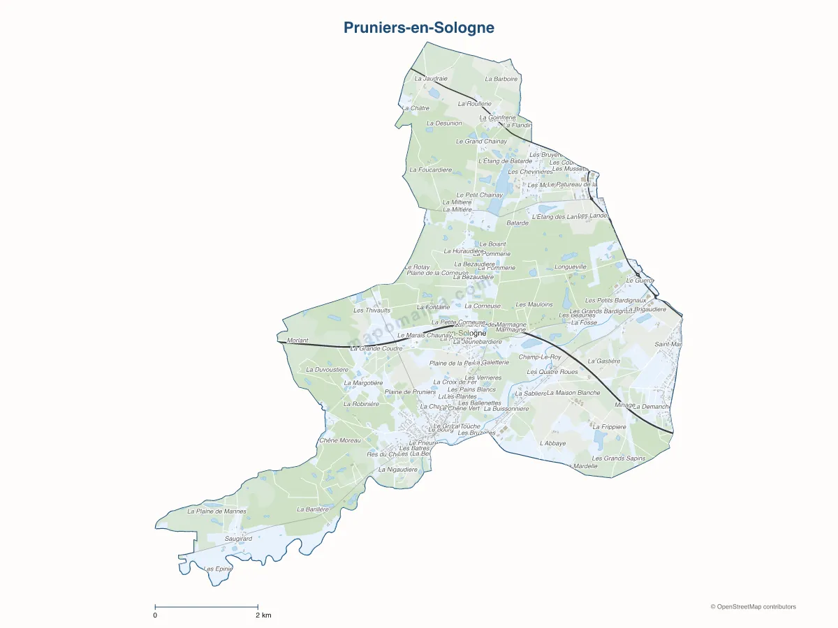 Carte de Pruniers-en-Sologne à personnaliser