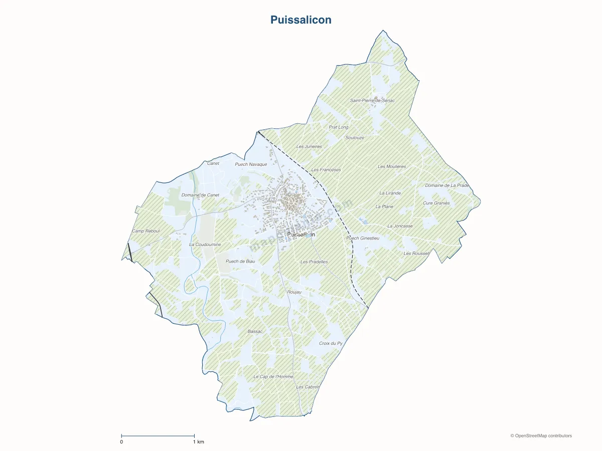 Carte de Puissalicon à personnaliser