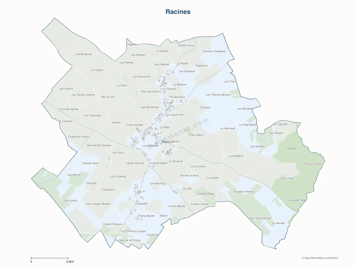 Carte de Racines à personnaliser