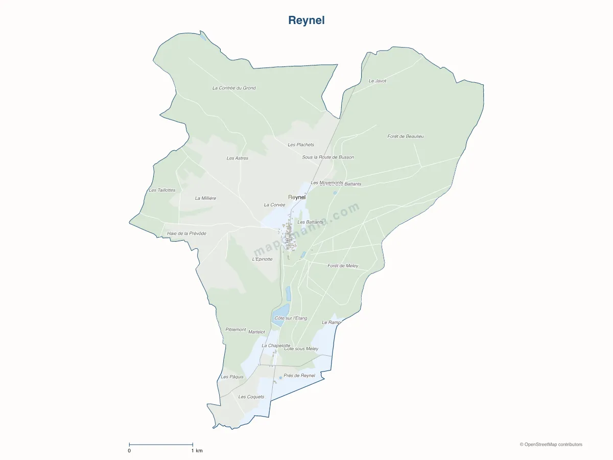 Carte de Reynel à personnaliser
