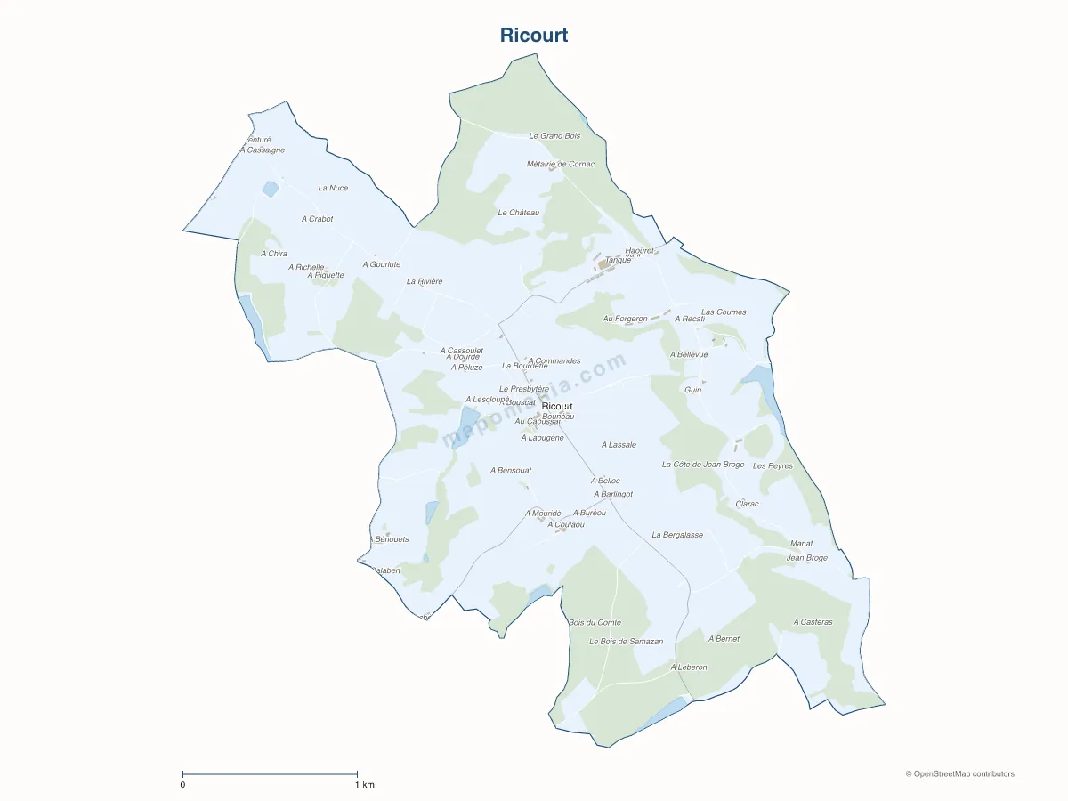Carte de Ricourt à personnaliser
