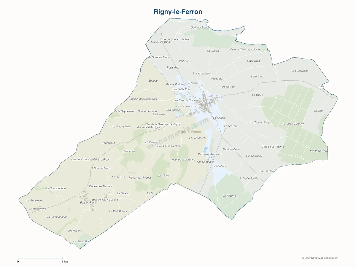 Carte de Rigny-le-Ferron à personnaliser