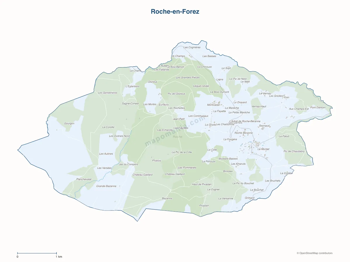 Carte de Roche-en-Forez à personnaliser