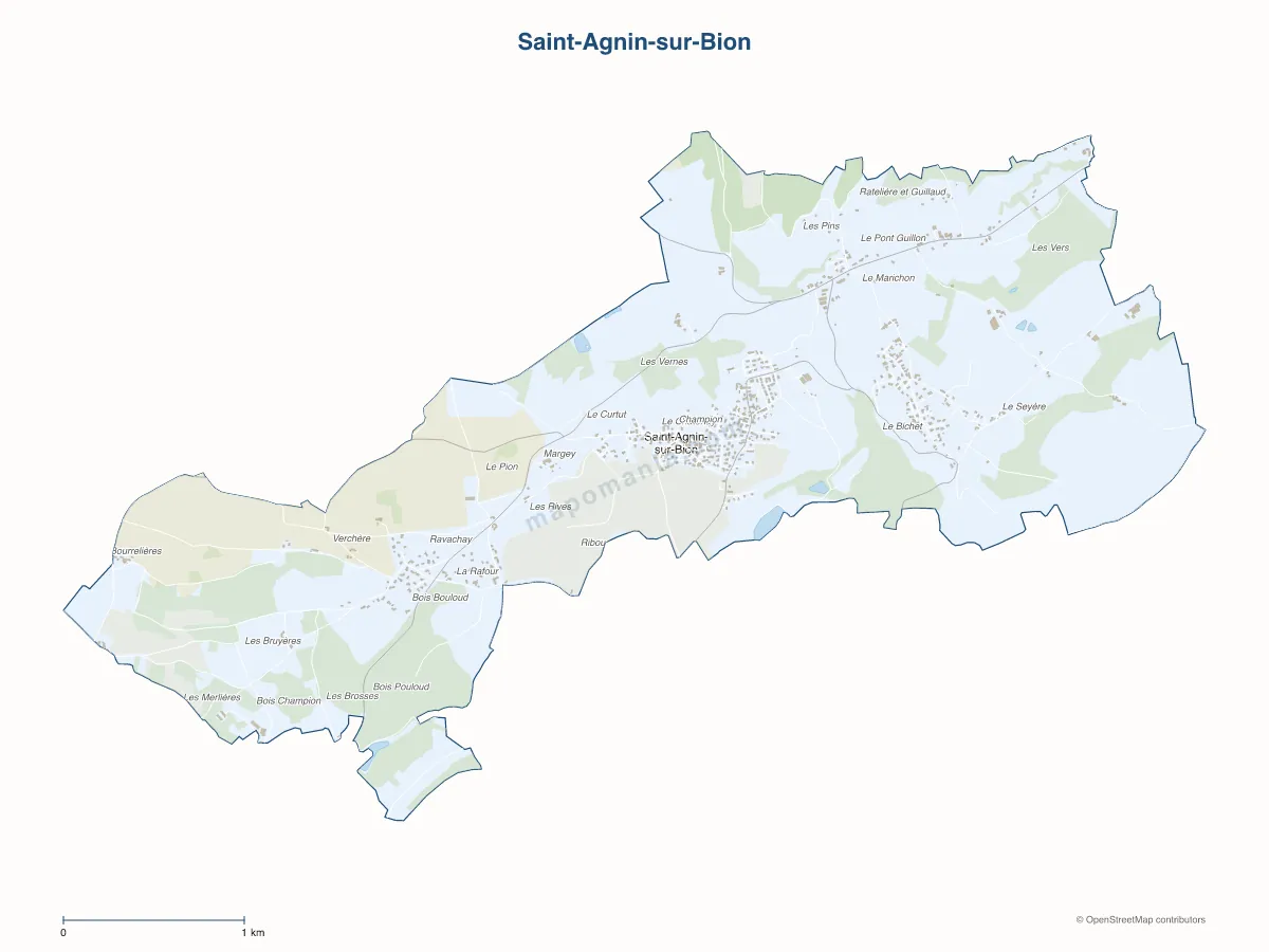 Carte de Saint-Agnin-sur-Bion à personnaliser