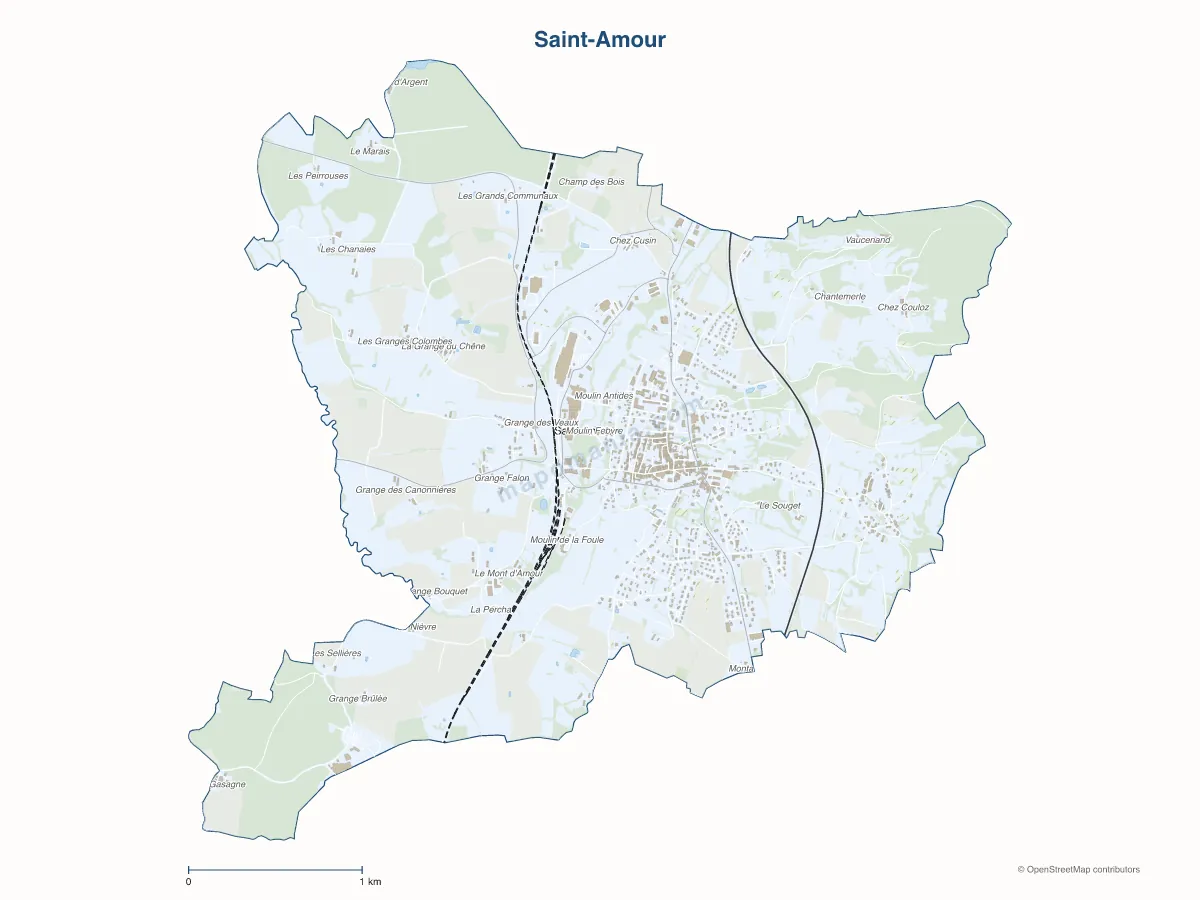 Carte de Saint-Amour à personnaliser