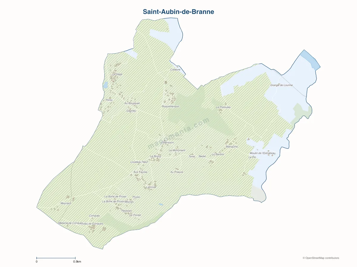 Carte de Saint-Aubin-de-Branne à personnaliser