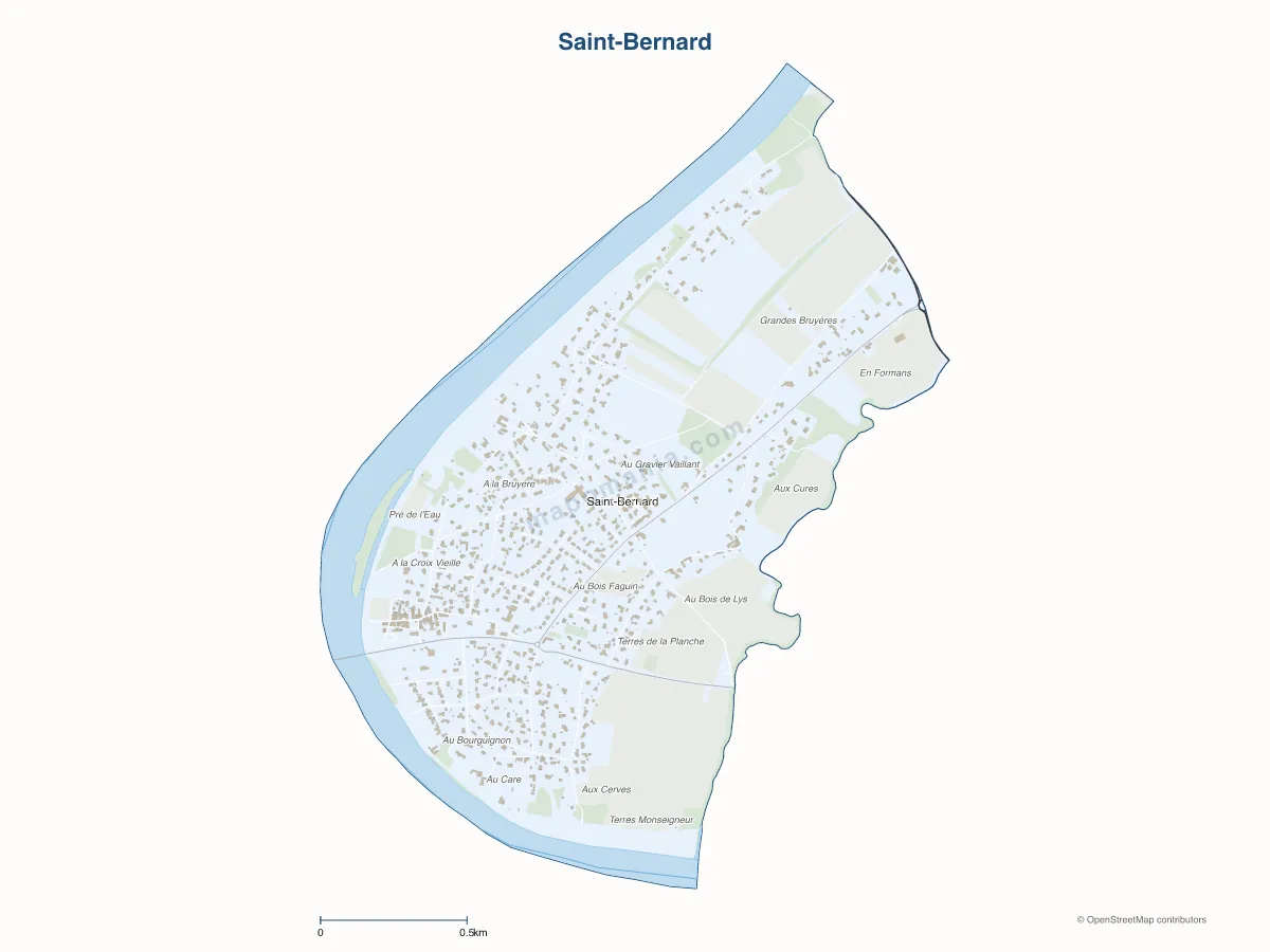 Carte de Saint-Bernard à personnaliser