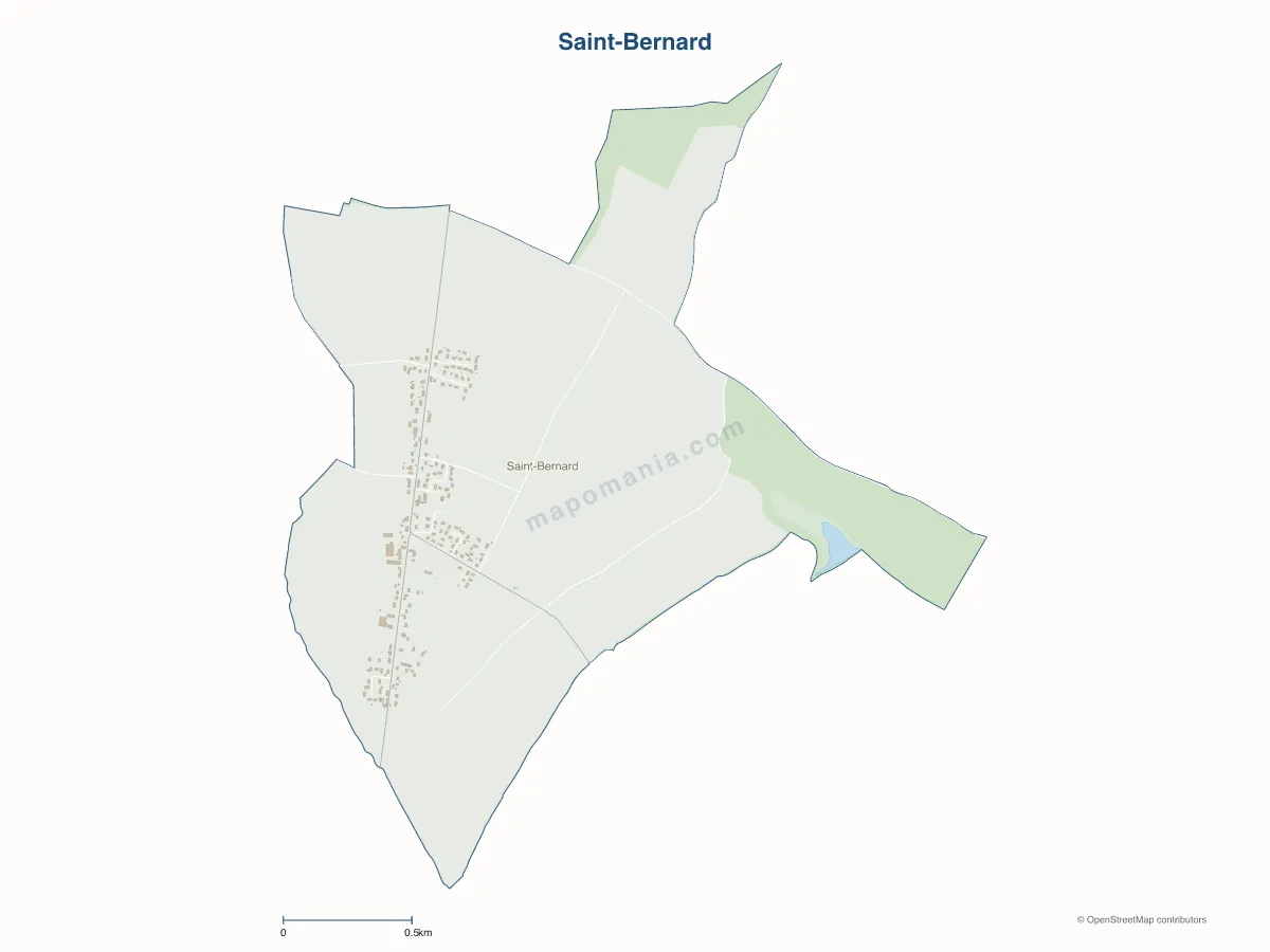 Carte de Saint-Bernard à personnaliser