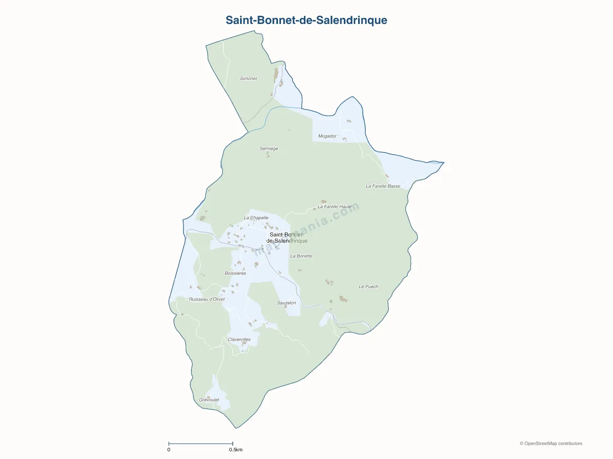 Carte de Saint-Bonnet-de-Salendrinque à personnaliser