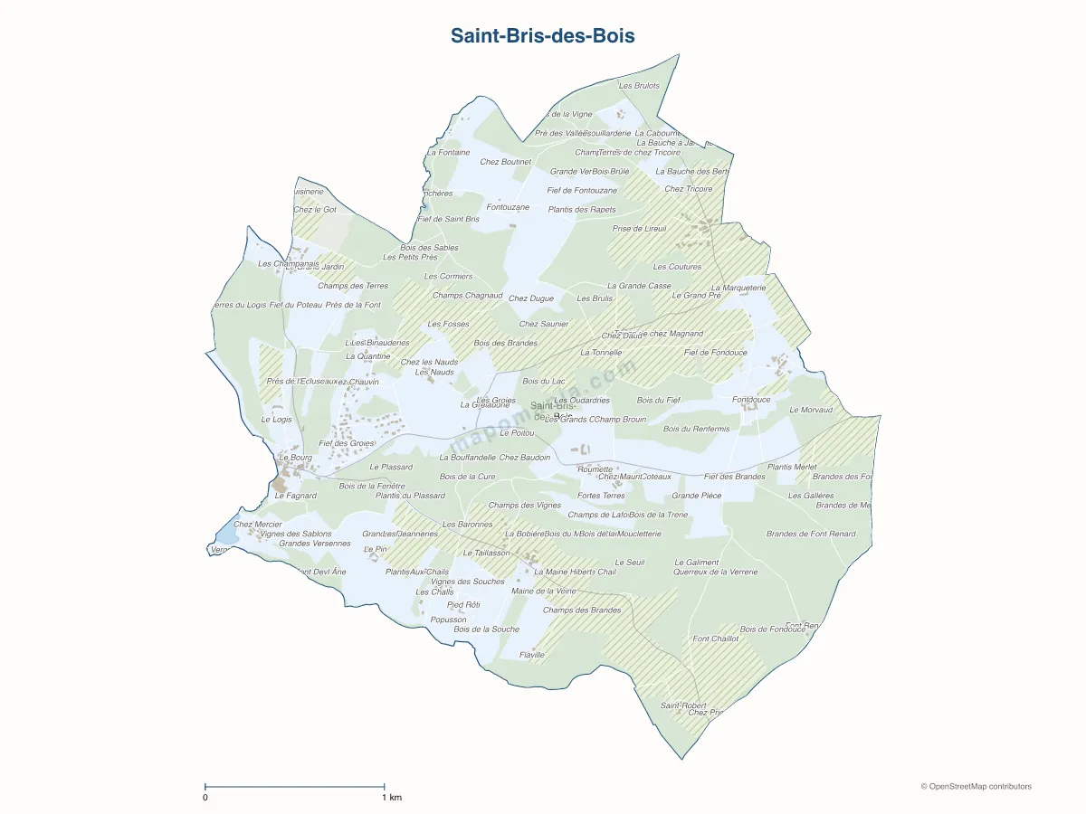Carte de Saint-Bris-des-Bois à personnaliser