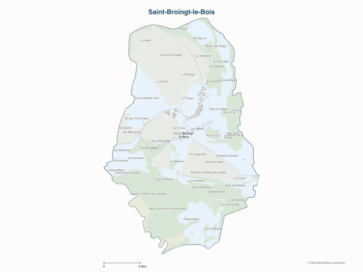 Carte de Saint-Broingt-le-Bois à personnaliser